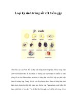 Loại ký sinh trùng sốt rét hiếm gặp potx