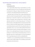 Phương hướng hạn chế rủi ro trong hoạt động cho vay tại Ngân hàng công thương Thanh Hóa - 1 potx