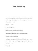 Viêm cầu thận cấp docx