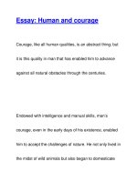 Essay: Human and courage docx