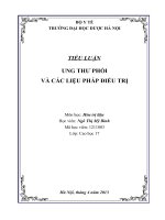 TIỂU LUẬN  UNG THƯ PHỔI VÀ CÁC LIỆU PHÁP ĐIỀU TRỊ