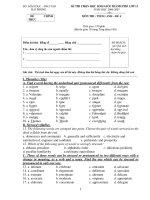 KÌ THI CHỌN HỌC SINH GIỎI TỈNH NĂM HỌC 2010-2011 Môn thi: TIẾNG ANH LỚP 12 THPT – ĐỀ 4 ppsx