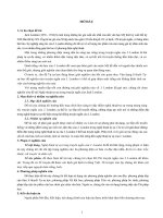 Nghệ thuật tự sự trong truyện ngắn của Jack London (tóm tắt)