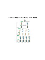 KỸ THUẬT DI TRUYỀN - PHẦN 6 pdf