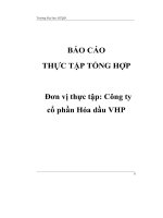 Tình hình hoạt động tại công ty cổ phần hóa dầu VHP   luận văn, đồ án, đề tài tốt nghiệp