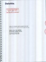 công ty cổ phần chứng khoán dầu khí báo cáo tài chính đã được kiểm toán cho năm tài chính kết thúc ngày 31 tháng 12 năm 2012