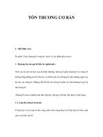 TỔN THƯƠNG CƠ BẢN ppt