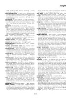 Dictionary of Engineering Episode 3 Part 6 pptx