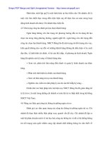 Tín dụng và rủi ro tín dụng kinh tế ngoài quốc doanh trong họat động của các Ngân hàng thương mại - 7 pot