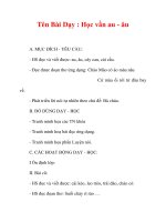 Giáo án lớp 1 môn Tiếng Việt :Tên Bài Dạy : Học vần au - âu pdf