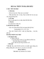 GIÁO ÁN SINH 6_BÀI 16: THÂN TO RA DO ĐÂU pdf
