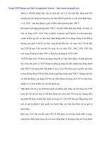 Hạn chế rủi ro trong thanh tóan tín dụng chứng từ tại Ngân hàng Vietinbank - 2 docx