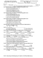 ĐỀ KIỂM TRA NỬA HỌC Kỳ I LỚP 12 NĂM HỌC 2010-2011 Trường THPT DL Lương Thế Vinh pot