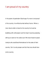 I am proud of my country docx