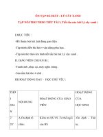 Giáo án âm nhạc lớp 1: ÔN TẬP BÀI HÁT : LÝ CÂY XANH potx