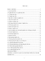 Tác động của việc tái định cư đến đời sống người dân trong vùng dự án của dự án ADB cải thiện môi trường đô thị miền trung việt nam