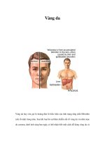 Vàng da pptx
