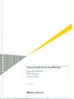 công ty cổ phần pin ắc quy miền nam báo cáo hội đồng quản trị và các báo cáo tài chính 31 tháng 12 năm 2010