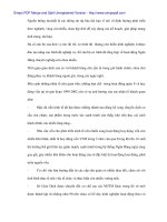 Chiến lược huy động vốn và phát triển nguồn vốn tại Sở Giao dịch I BIDV - 6 pdf