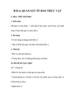 GIÁO ÁN SINH 6_BÀI 6. QUAN SÁT TẾ BÀO THỰC VẬT doc
