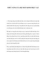 CHỨC NĂNG CỦA HỆ THẦN KINH THỰC VẬT pot