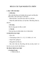 GIÁO ÁN SINH 6_BÀI 13: CẤU TẠO NGOÀI CỦA THÂN pps