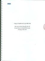 công ty cổ phần pin ắc quy miền nam báo cáo tài chính riêng giữa niên độ cho giai đoạn 6 tháng kết thúc ngày 30 tháng 6 năm 2012