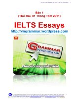 ieltsessays_1828 (VnGrammar - 123Chiase - Vui như học) docx