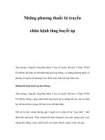 Những phương thuốc bí truyền chữa bệnh tăng huyết áp doc