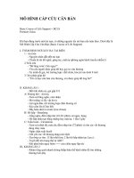 MÔ HÌNH CẤP CỨU CĂN BẢN doc