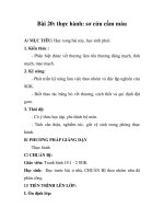 GIÁO ÁN SINH 7_Bài 20: thực hành: sơ cứu cầm máu pot