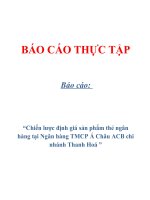 Báo cáo: “Chiến lược điṇh giá san̉ phâm̉ thẻ ngân haǹ g tại Ngân hàng TMCP Á Châu ACB chi nhánh Thanh Hoá ” ppt