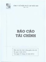 Công ty cổ phần pin ắc quy miền nam báo cáo tài chính riêng giữa niên độ kỳ quý 4 năm 2012 tại ngày 31 tháng 12 năm 2012