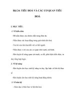 GIÁO ÁN SINH 7_Bài 24: TIÊU HOÁ VÀ CÁC CƠ QUAN TIÊU HOÁ potx