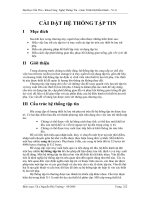 GIÁO TRÌNH NGUYÊN LÝ HỆ ĐIỀU HÀNH_CHƯƠNG 10 ppt