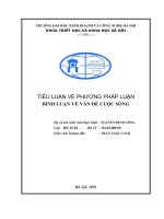 Tiểu luận về phương pháp luận: BÌNH LUẬN VỀ VẤN ĐỀ CUỘC SỐNG
