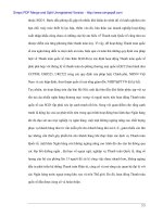 Nghiên cứu hoạt động thanh tóan quốc tế theo phương thức tín dụng chứng từ tại sở Giao dịch các Ngân hàng Thương mại - 5 doc