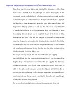 Đề xuất hòan thiện công tác quản lý thuế Thu nhập cá nhân ở Việt Nam hiện nay - 4 pps