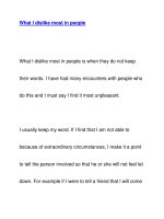 What I dislike most in people pptx