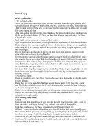 Khám ổ bụng doc
