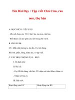 Giáo án lớp 1 môn Tiếng Việt :Tên Bài Dạy : Tập viết Chú Cừu, rau non, thợ hàn pot