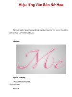 Hiệu Ứng Văn Bản Nở Hoa docx