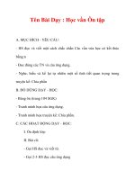 Giáo án lớp 1 môn Tiếng Việt :Tên Bài Dạy : Học vần Ôn tập docx