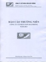 BÁO cáo THƯỜNG NIÊN công ty cổ phần sơn hải phòng năm 2013
