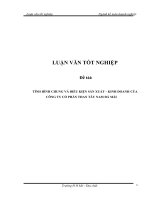 LUẬN VĂN :TÌNH HÌNH CHUNG và điều KIỆN sản XUẤT – KINH DOANH của CÔNG TY cổ PHẦN THAN tây NAM đá mài