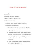 Giáo án âm nhạc lớp 1: ÔN TẬP BÀI HÁT : ĐI TỚI TRƯỜNG pps