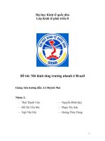 Đề tài mô hình tăng trưởng nhanh ở barzil