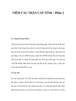 VIÊM CẦU THÂN CẤP TÍNH – Phần 2 doc