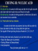 CHƯƠNG III: NUCLEIC ACID ppt