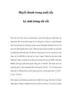 Huyết thanh trong nuôi cấy ký sinh trùng sốt rốt pptx